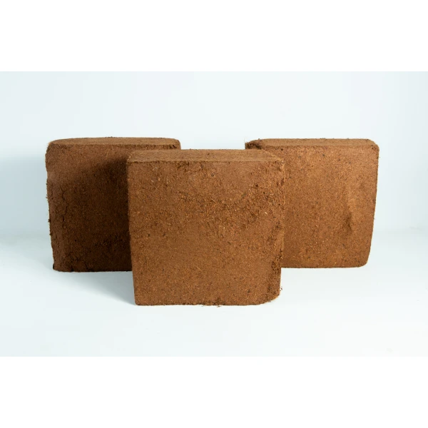 3X Coco Block