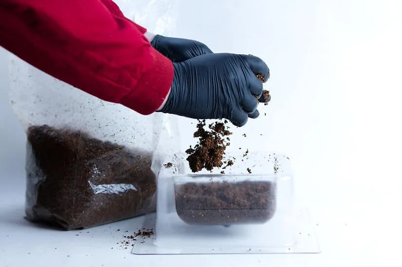 A person in black gloves adds soil to a clear container, with a soil bag nearby—showing how to use the Mycelium Mould Growth Form - Plant Pot Heavy Duty (Reusable) for optimal results.