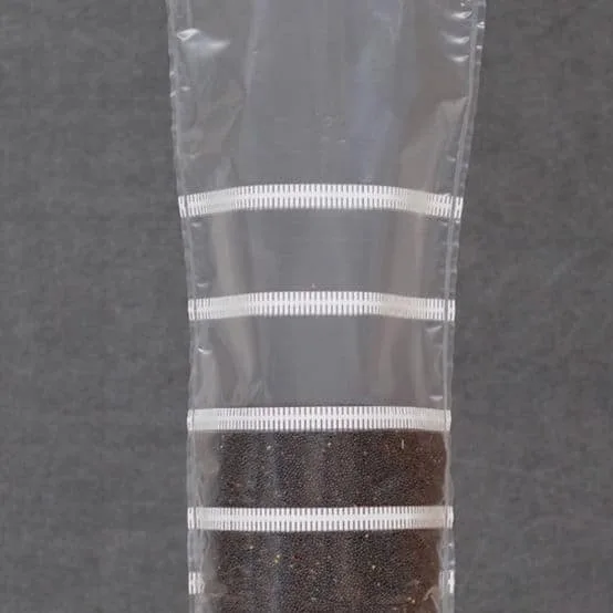 Grow bags Mushroom Sac O2 are clear plastic tubes, partially filled with dark soil and sealed in horizontal sections, ensuring optimal conditions for mushroom cultivation.
