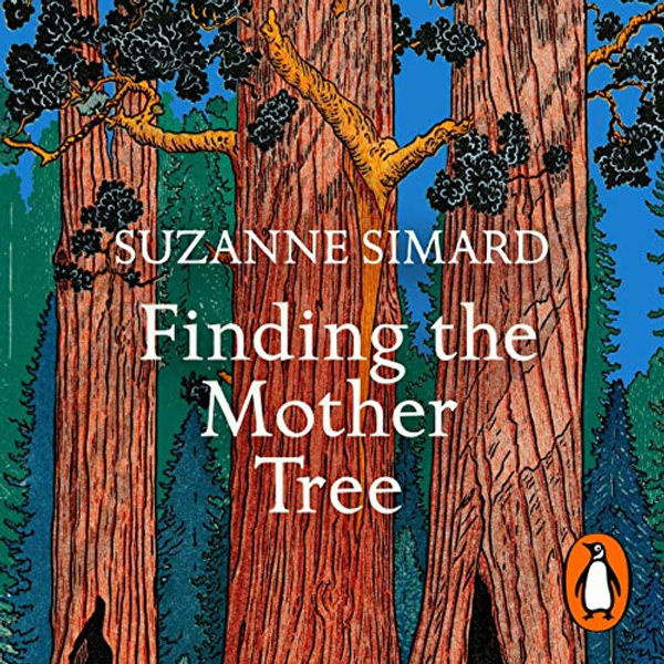 Finding the Mother Tree Book by Suzanne Simard