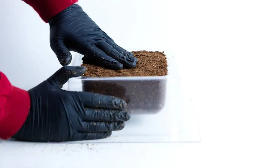 Hands in black gloves pressing soil into a clear plastic container on a white surface, preparing it for the Mycelium Mould Growth Form – Plant Pot Heavy Duty (Reusable).