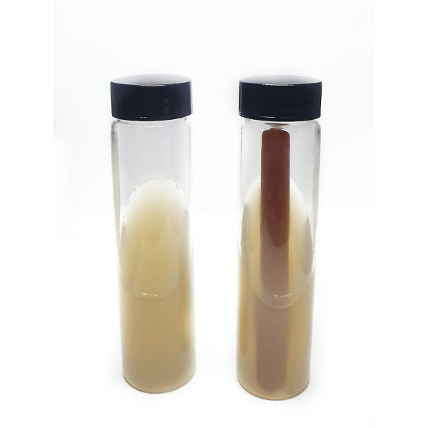 Image showing Slants- Replacement for agar petri-dish- With and without Birch Wood