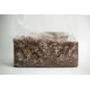 Sawdust spawn 3kg for logs or outdoor patch close up image