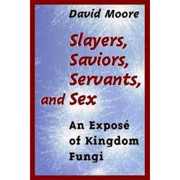 Slayers, saviours, servants and sex: Book by David Moore