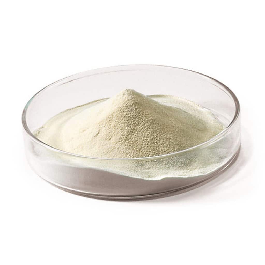 Mycological Peptone To Use In Agar Media – Rootlab
