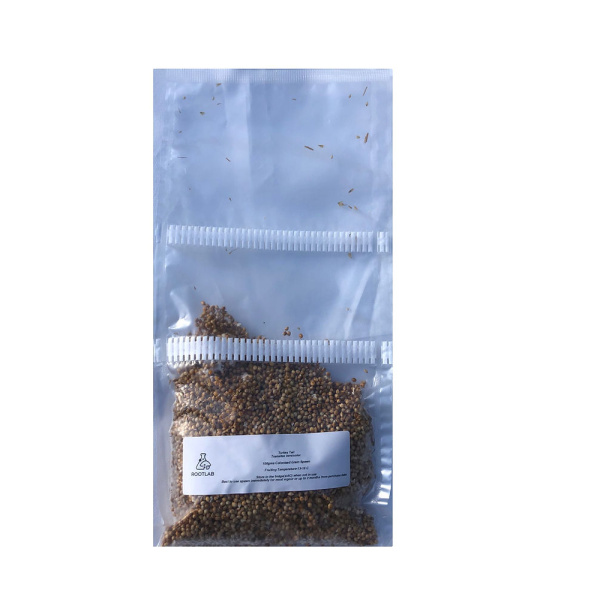 Grain Spawn 100gm Mycelium Mushroom Culture - Shiitake - 5000 (Lentinula edodes) front view