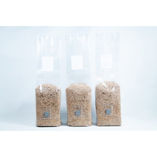 3x 1Kg Brown Rice Flour (BRF) & Vermiculite bags PF Tek whole bags
