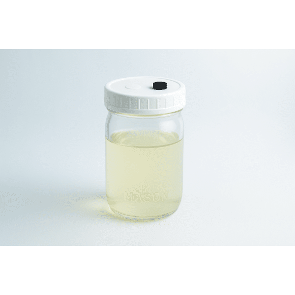 Uncolonised Liquid culture jar 473ml