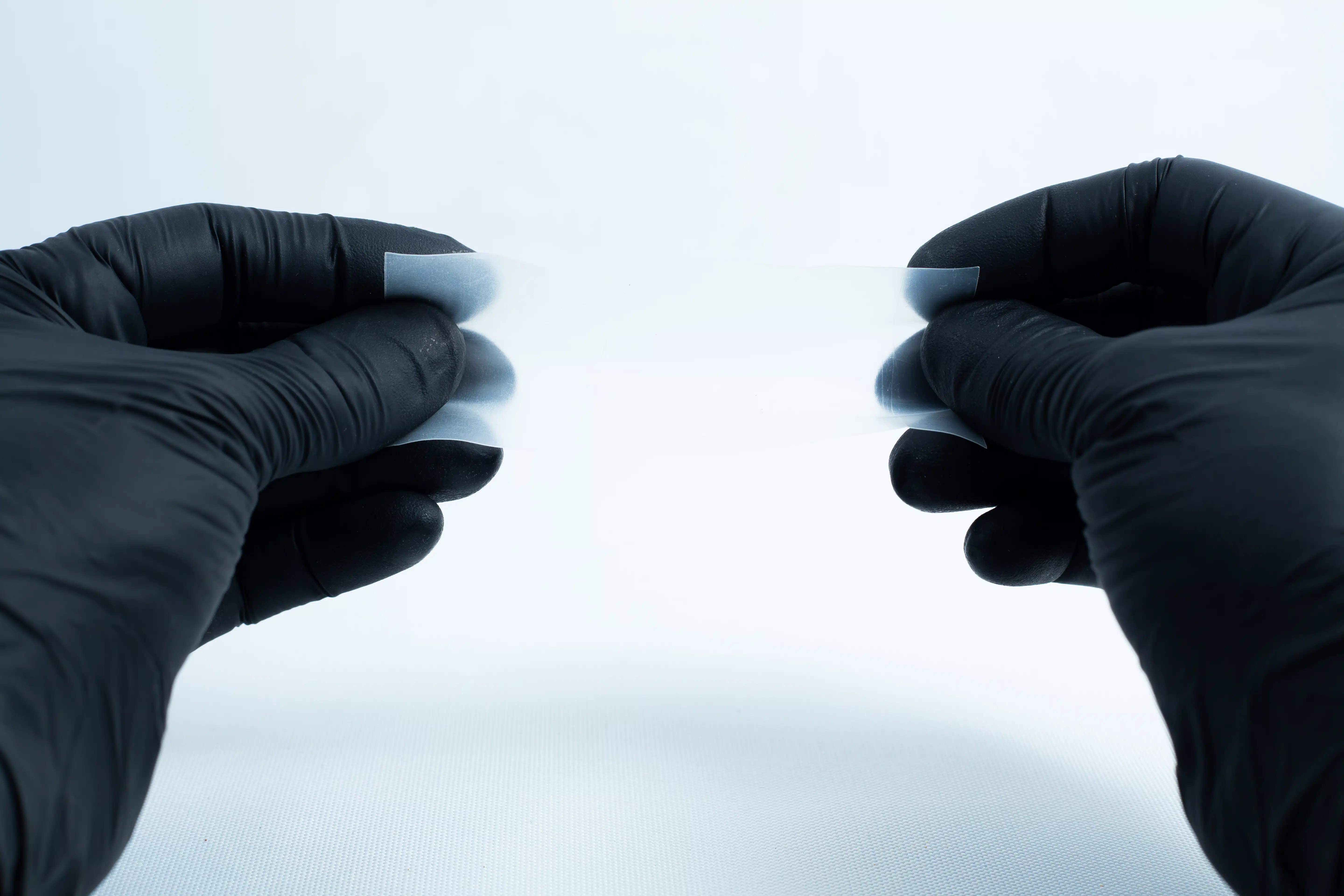 Two gloved hands pull apart a piece of translucent material from the Agar petri dish MEA School Science Fun Project Kit—a classic moment in school science experiments against a white background.
