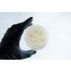 Agar petri dish MEA School Science Fun Project - Stage 1 Contamination.