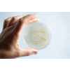 Agar petri dish MEA School Science Fun Project _Z_