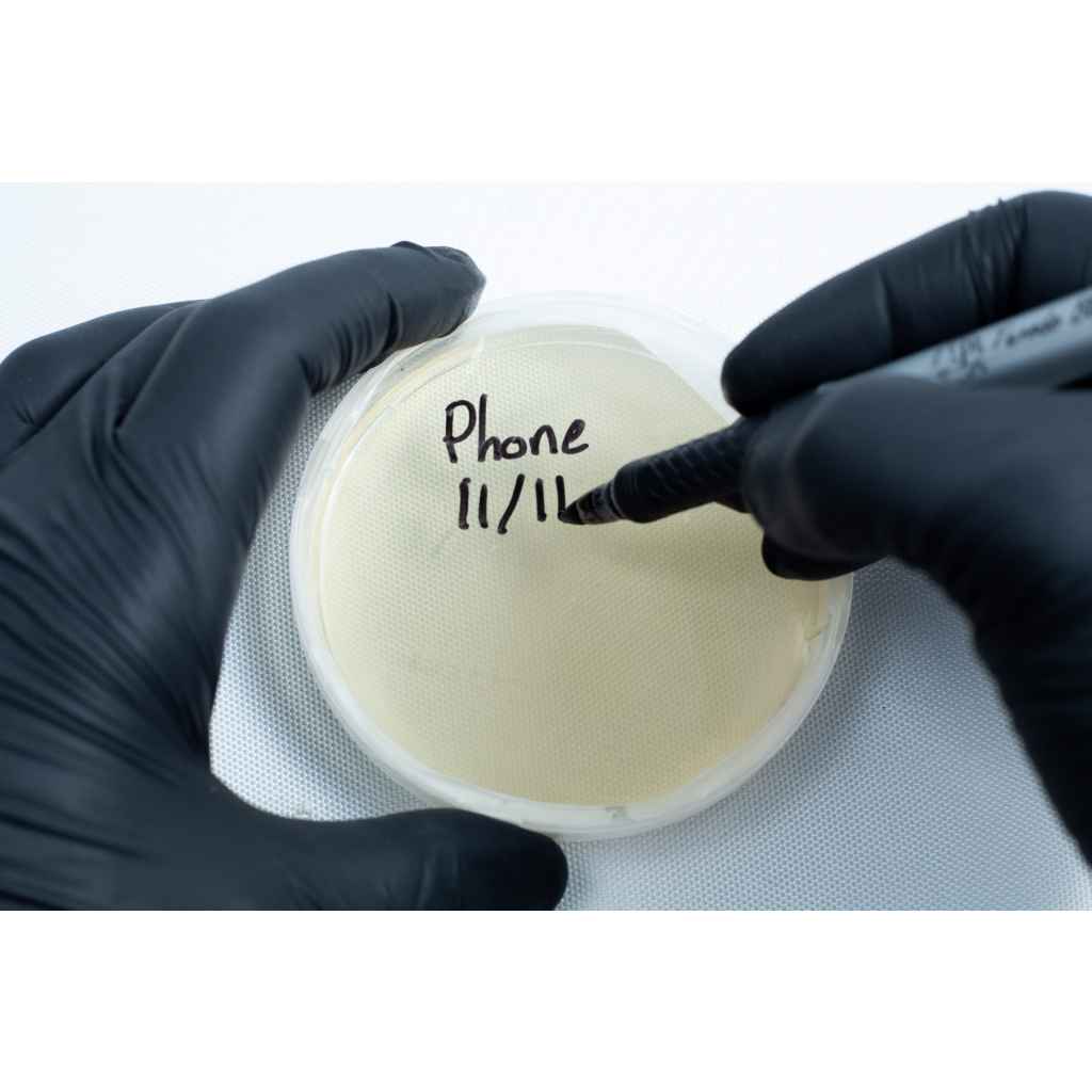 Agar petri dish MEA School Science Fun Project - labeling plate