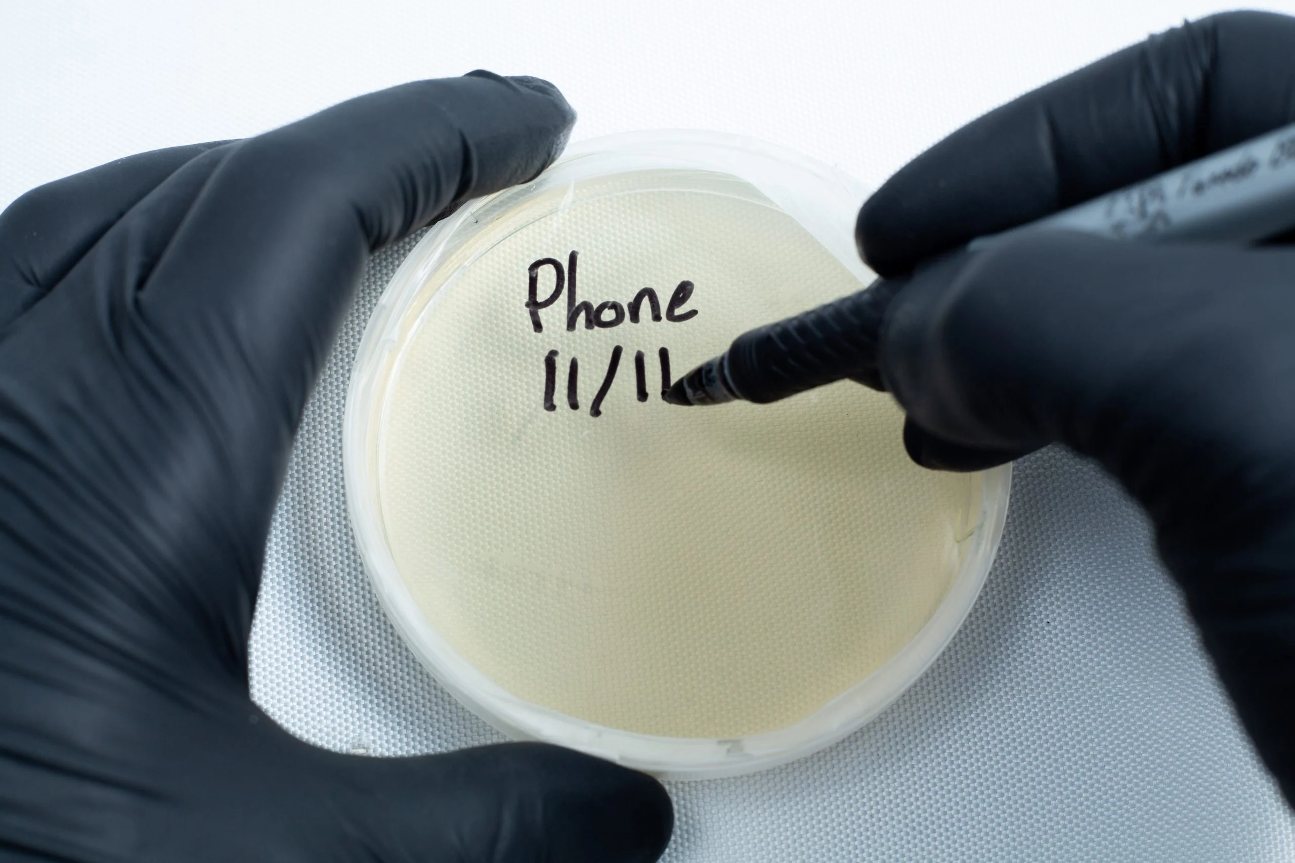 Gloved hands label an agar Petri dish MEA School Science Fun Project Kit with a black marker on a white background, perfect for school science fun projects.