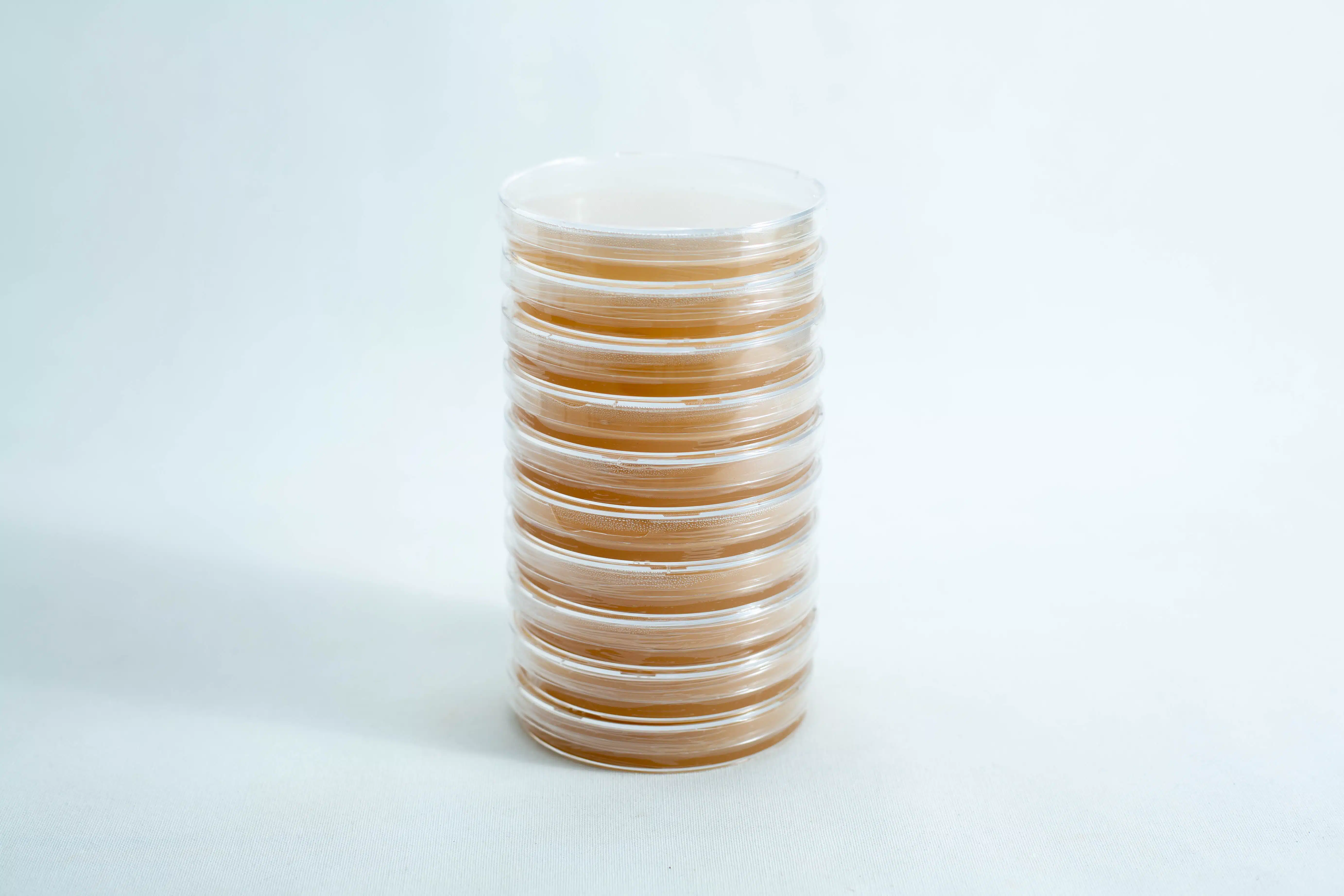 Pre poured MEAG Agar Plates (Antibacterial) 90mm 2 A stack of nine Pre-poured MEAG Agar Plates (Antibacterial) 90mm, each filled with light brown agar, is arranged on a plain white background.