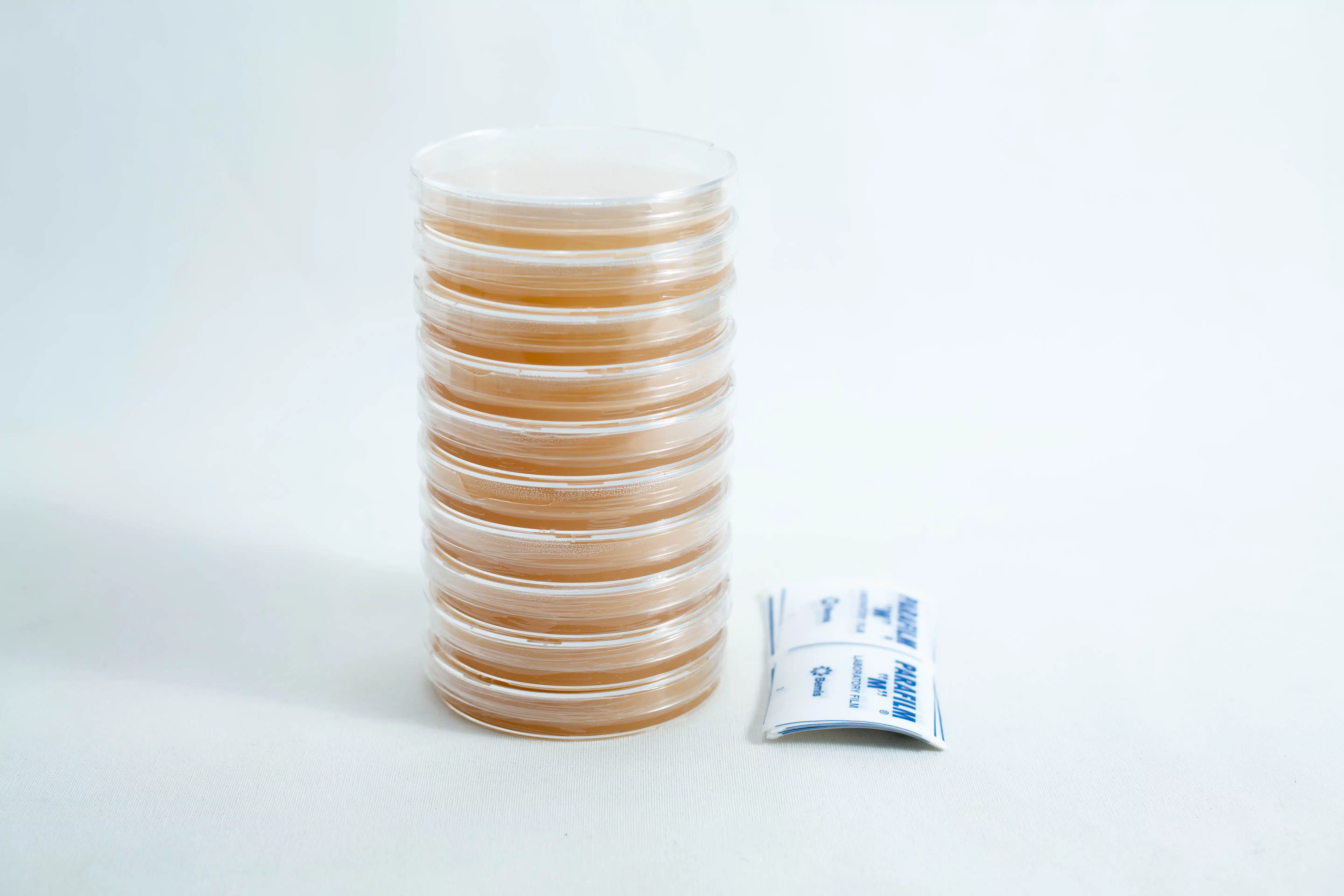 Pre poured MEAG Agar Plates (Antibacterial) 90mm 4 A stack of pre-poured MEAG agar plates (antibacterial) 90mm is placed next to two small packets on a white background.