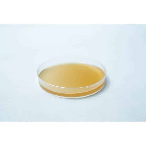 Agar Plates Pre poured 90mm Single front