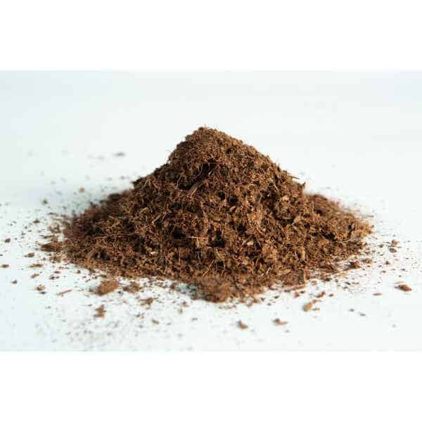 Breaking Coco Block