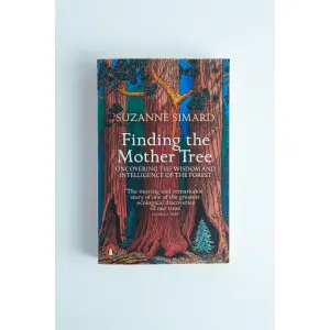 Finding the Mother Tree Front View