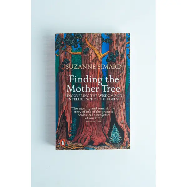 Finding the Mother Tree Front View