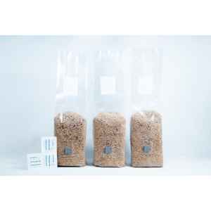 Injection port 3 x 1kg Brown Rice Flour (BRF) & Vermiculite bags PF Tek with Alcohol Swaps