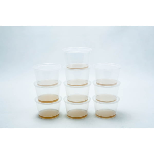 10x Pre-poured MEA agar container