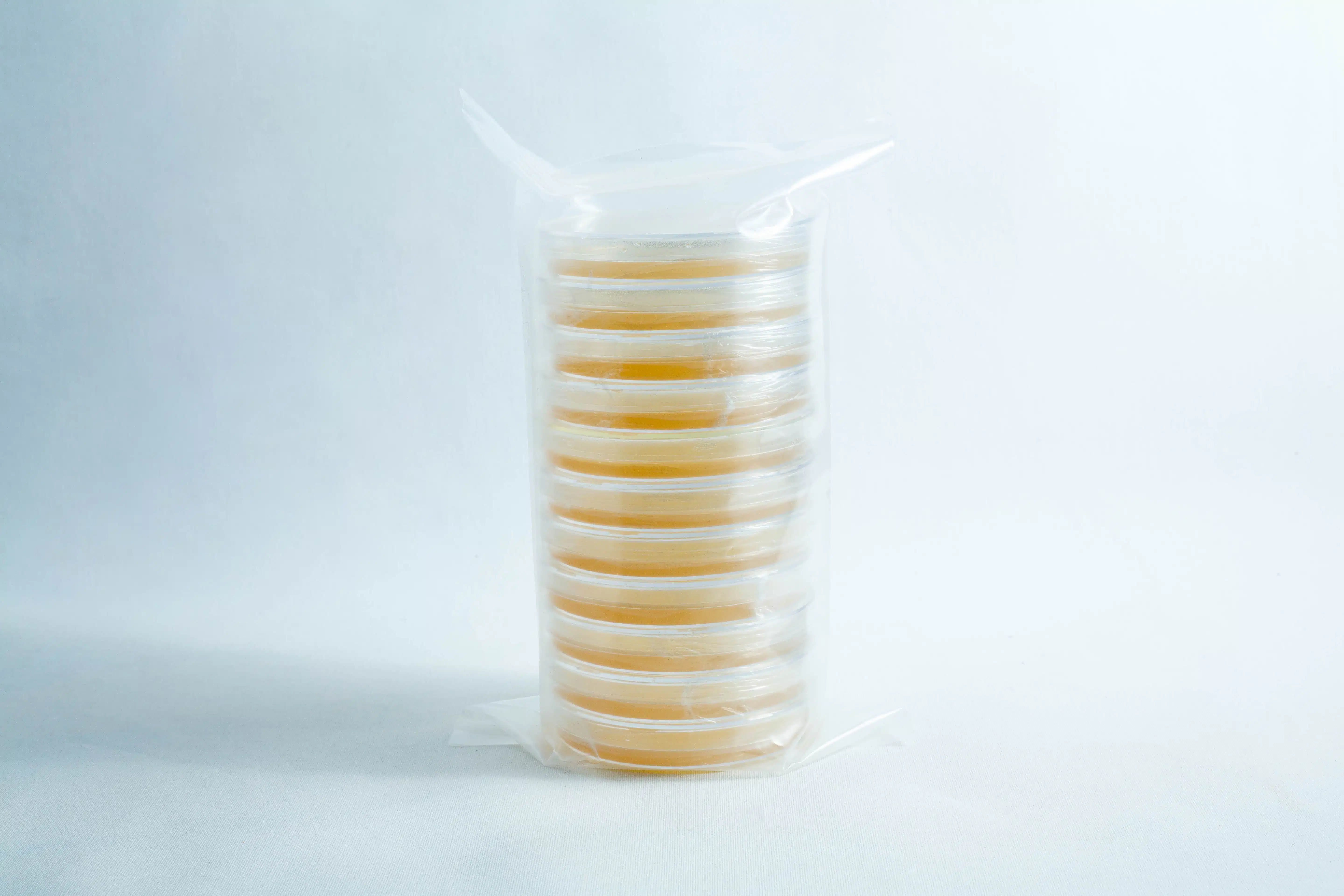 A stack of pre-poured MEA plates petri dish 90 mm, filled with yellow agar and wrapped in clear plastic, displayed on a white background.