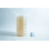 MEA Agar Plates Pre poured 90mm insiside sleeve with parafilm