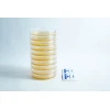 MEA Agar Plates Pre poured 90mm outside sleeve with parafilm