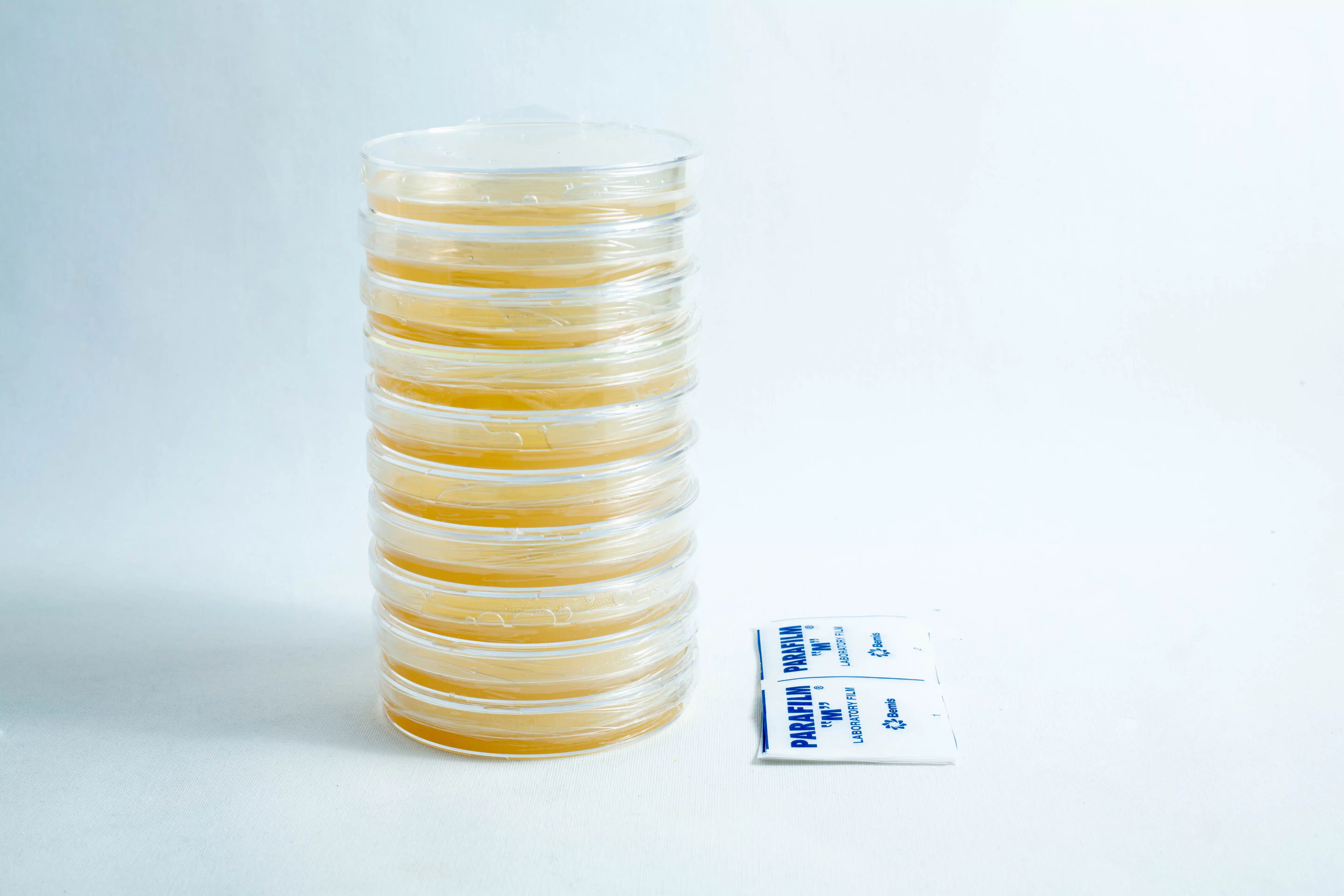 A stack of 90 mm pre-poured MEA plates Petri dishes sits next to two small Parafilm packets.