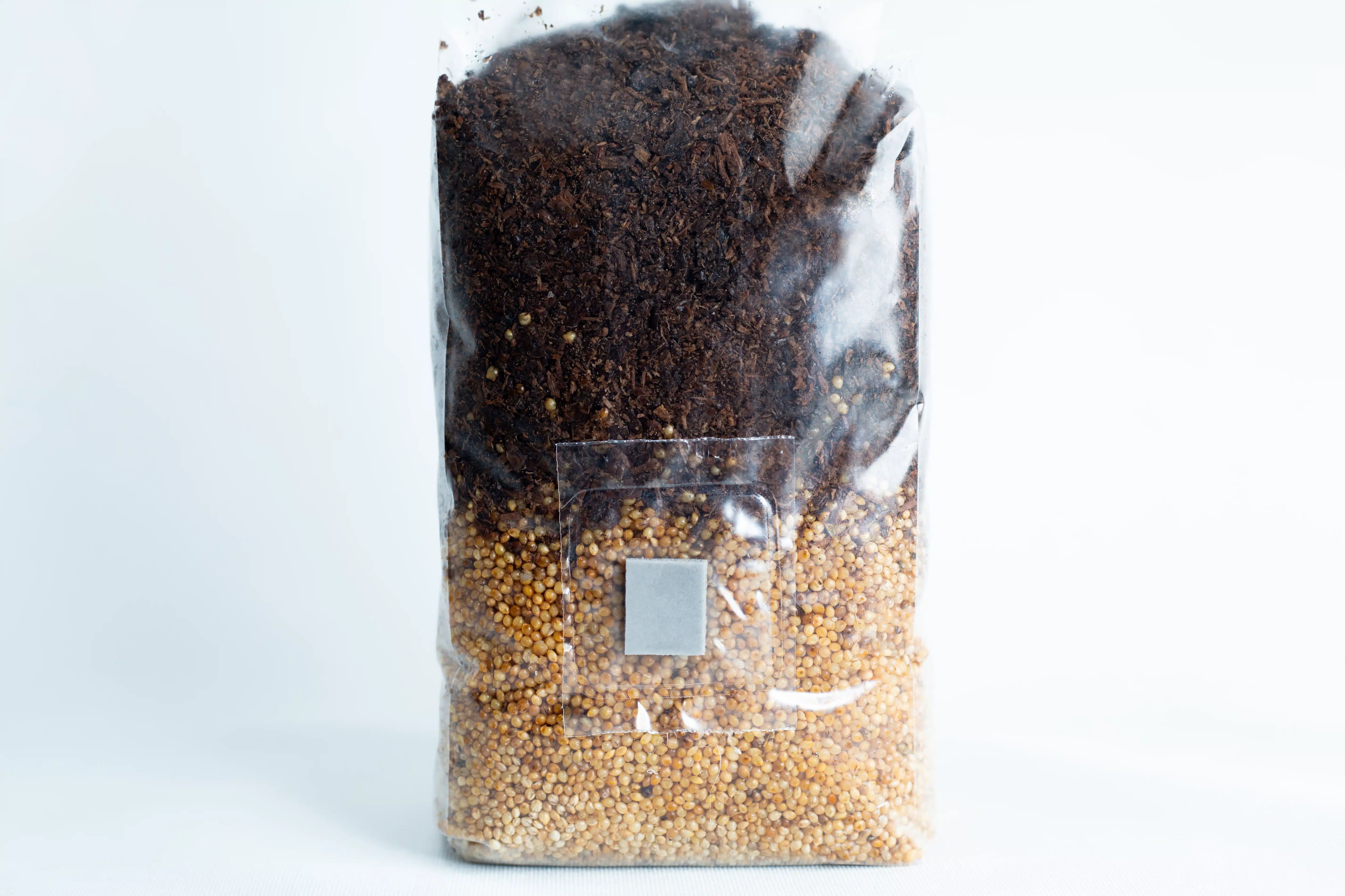 Pink Oyster Mushroom Grow Kit 3 The Masters Mix + Millet All in One Mushroom 1kg Bag features dark nutrient-rich soil layered over light-coloured millet, perfect for optimal mushroom growth.
