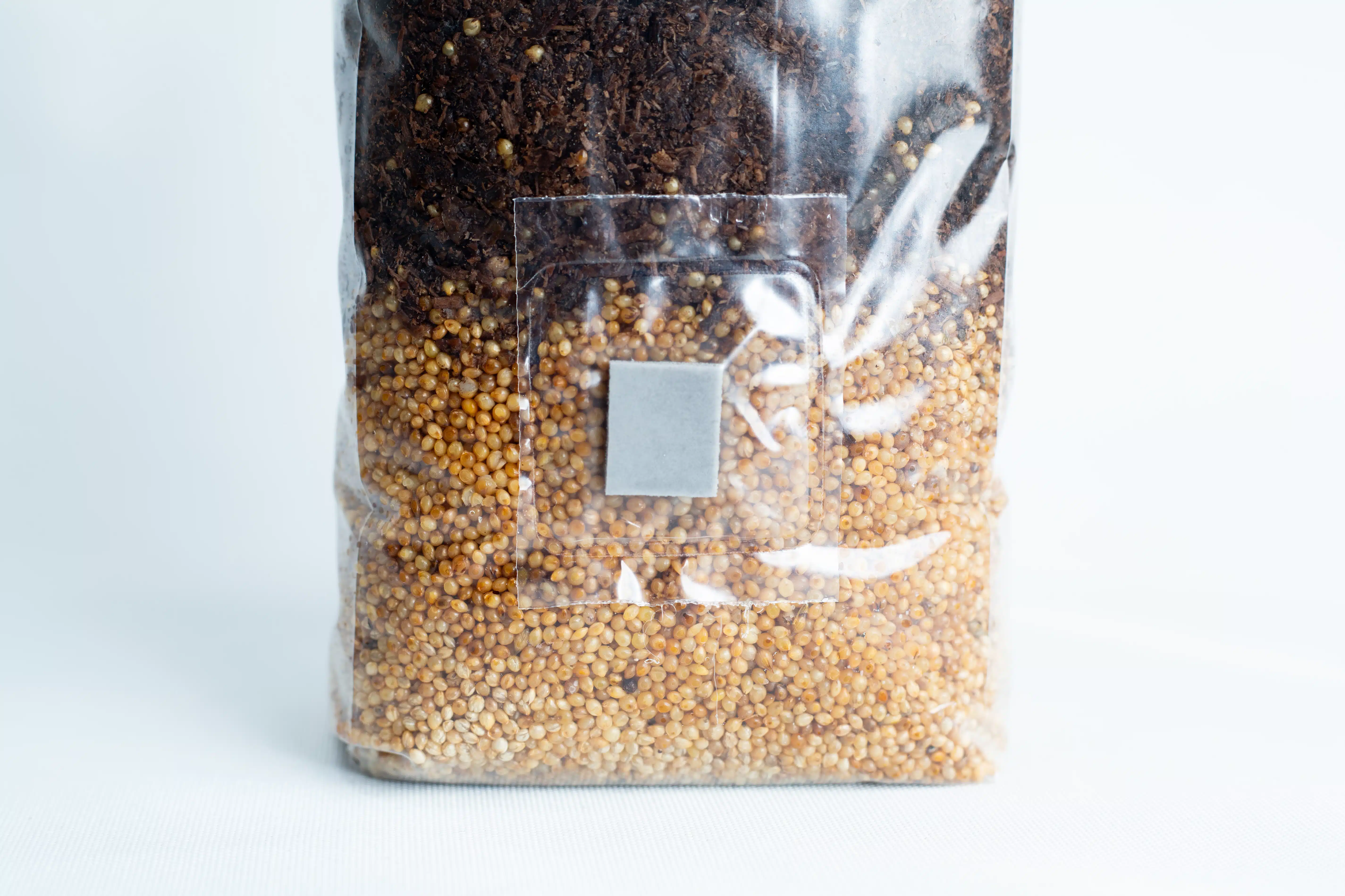 Pink Oyster Mushroom Grow Kit 6 Masters Mix + Millet All-in-one Mushroom 1kg Bag: clear plastic bag with dark Masters Mix substrate on top, yellow millet seeds at the bottom, and a small square patch in the centre.