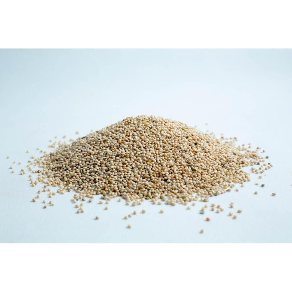 Rye or Millet: What's the Better Grain Choice for Mushroom Cultivation 6 A small pile of raw amaranth seeds scattered on a white surface.