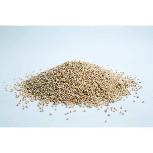 Millet grain Mountain