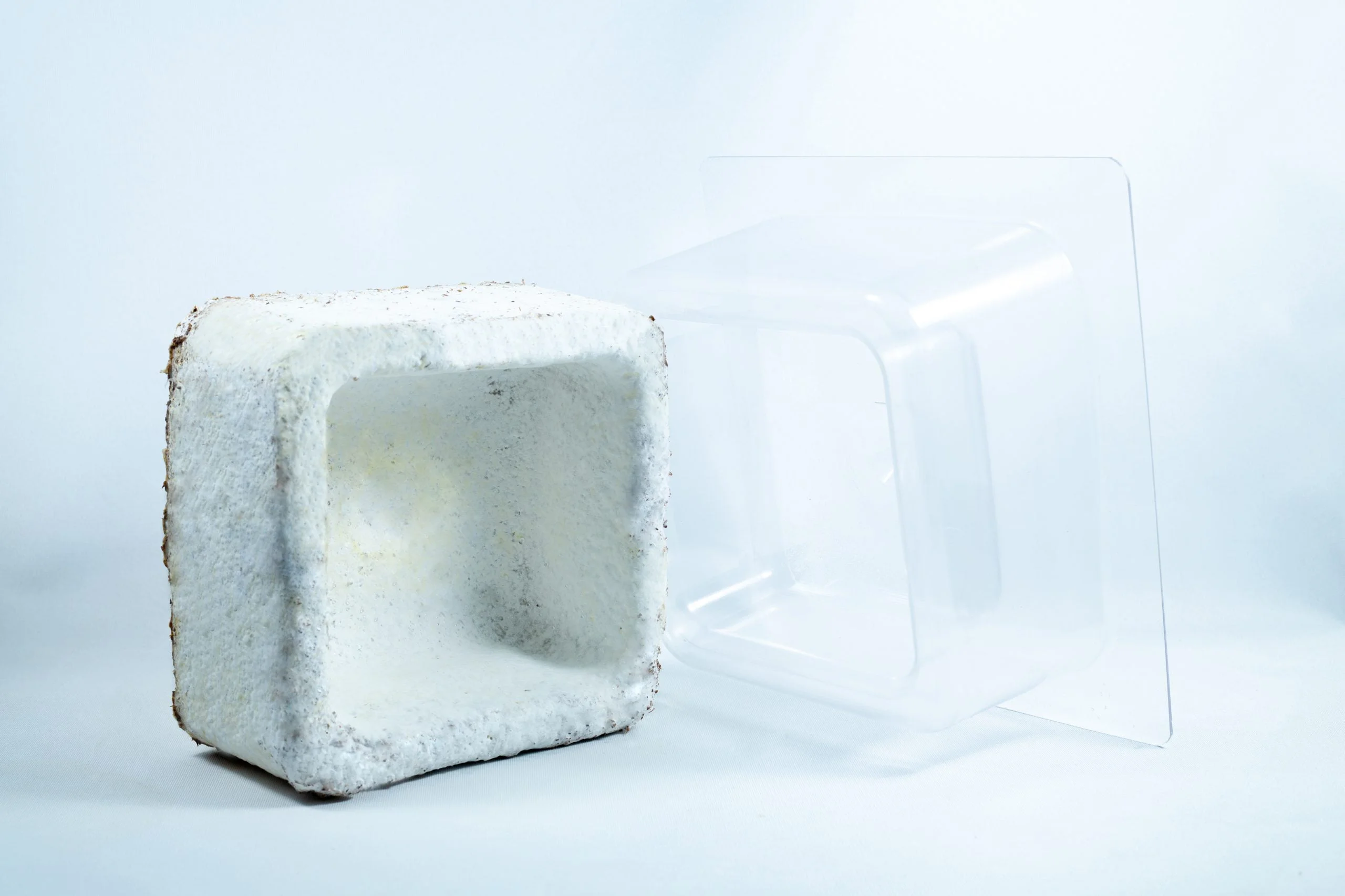 A white, square, hollow packaging block is next to a clear plastic mould on a white background, showcasing the Mycelium Mould Growth Form - Plant pot Heavy Duty (Reusable).