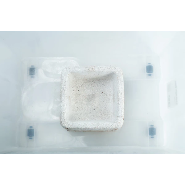 Mycelium Mold Growth form – Plant pot Heavy Duty top view