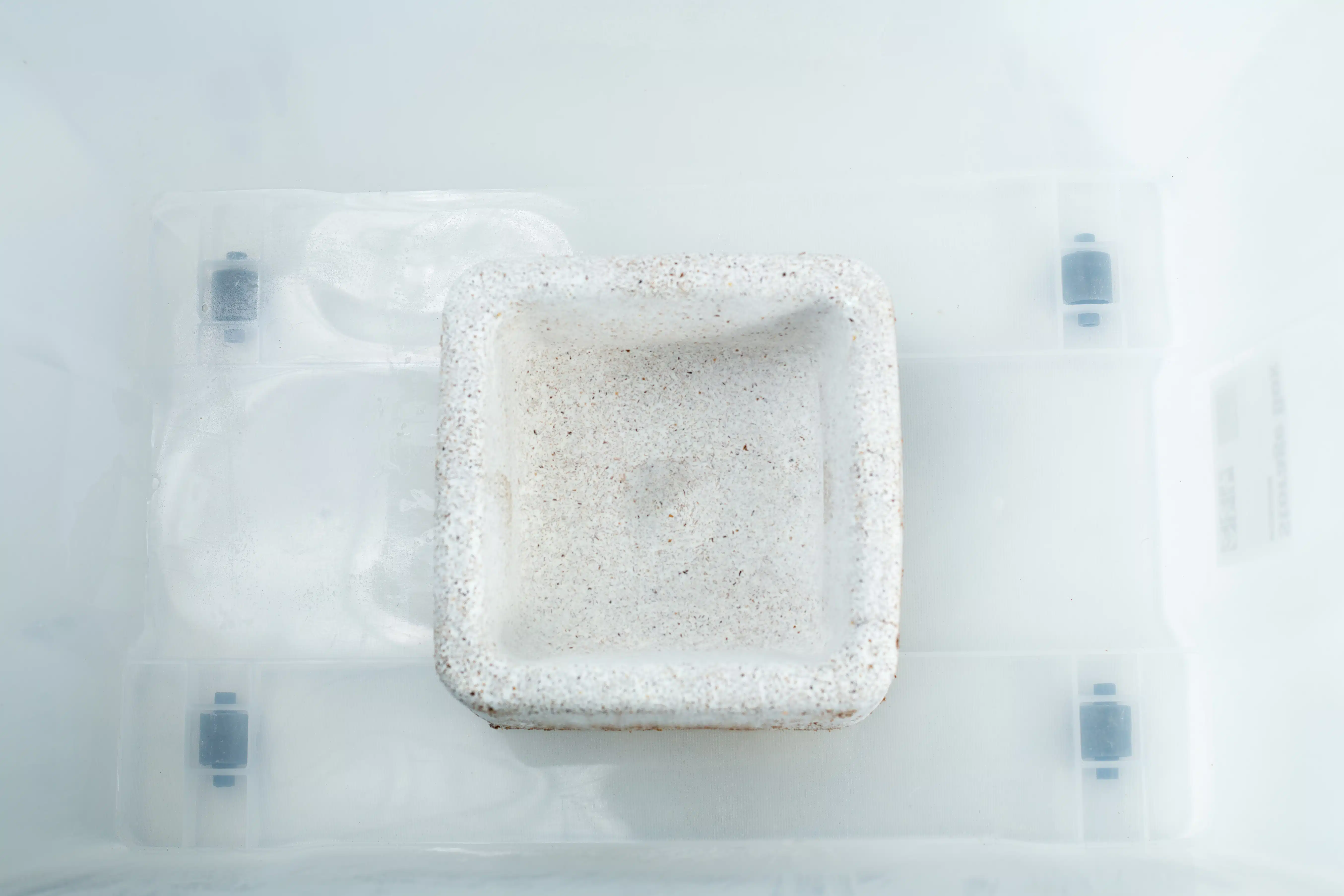 The Mycelium Mould Growth Form - Plant Pot Heavy Duty (Reusable) features a white, square ceramic dish inside a translucent plastic container, designed to resemble a plant pot mould growth form.