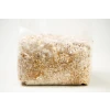 Grain Spawn 1 Kg fully colonized zoom view