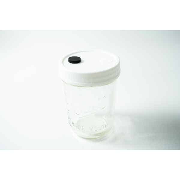 Mycology premade Wide Mouth and Mason Jar Lid with filter and injection port