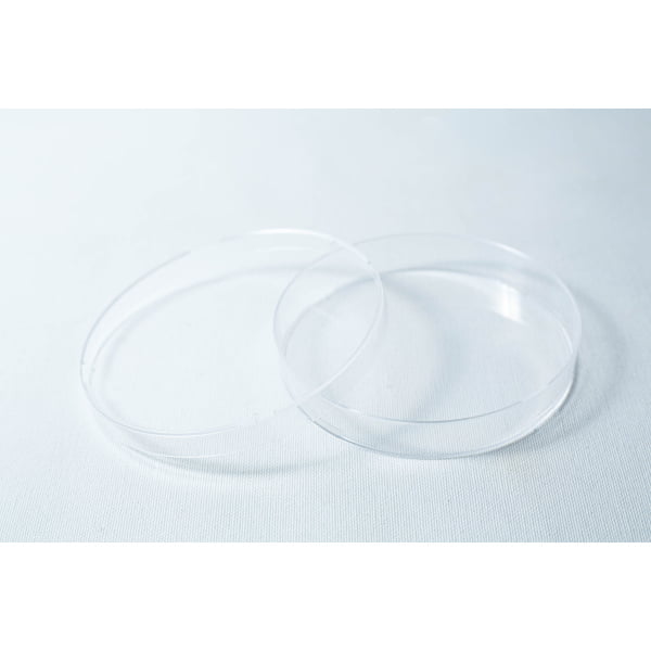 Single Agar plastic petri dish open