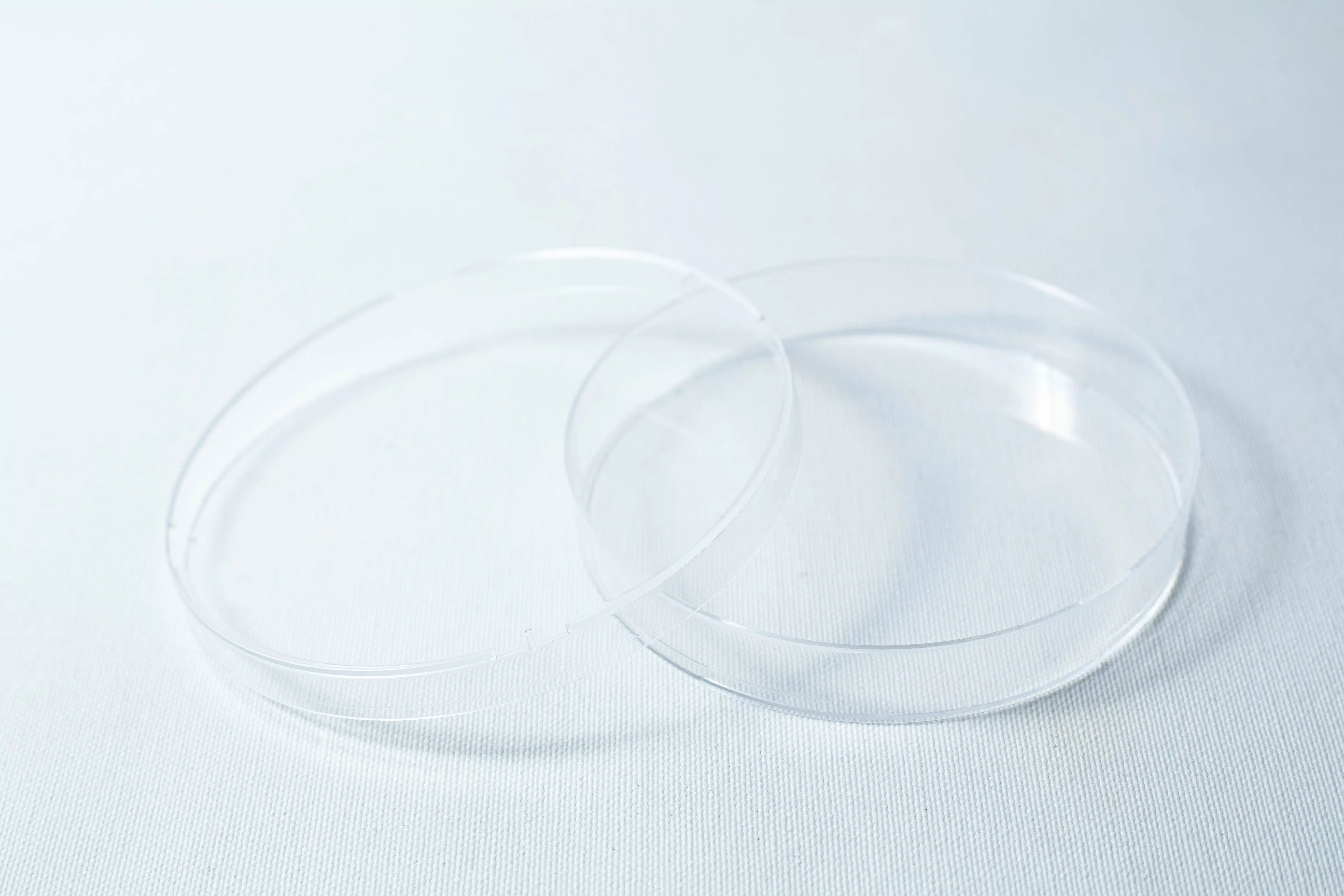 A sterile 90mm Petri dish with 3 vents and a slightly open lid, gamma irradiated, rests empty on a white surface.