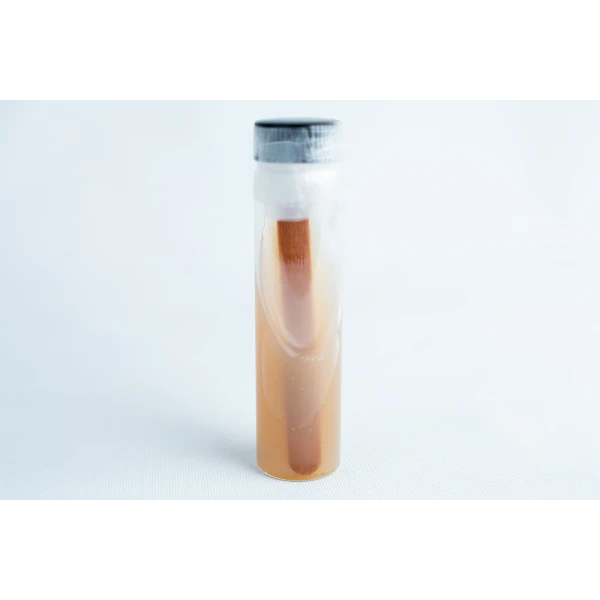 Slant with wood Replacement for agar petri-dish