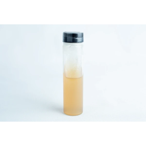 Slant without wood Replacement for agar petri-dish