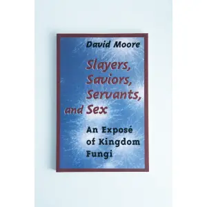 Slayers, Saviors, Servants and sex front View