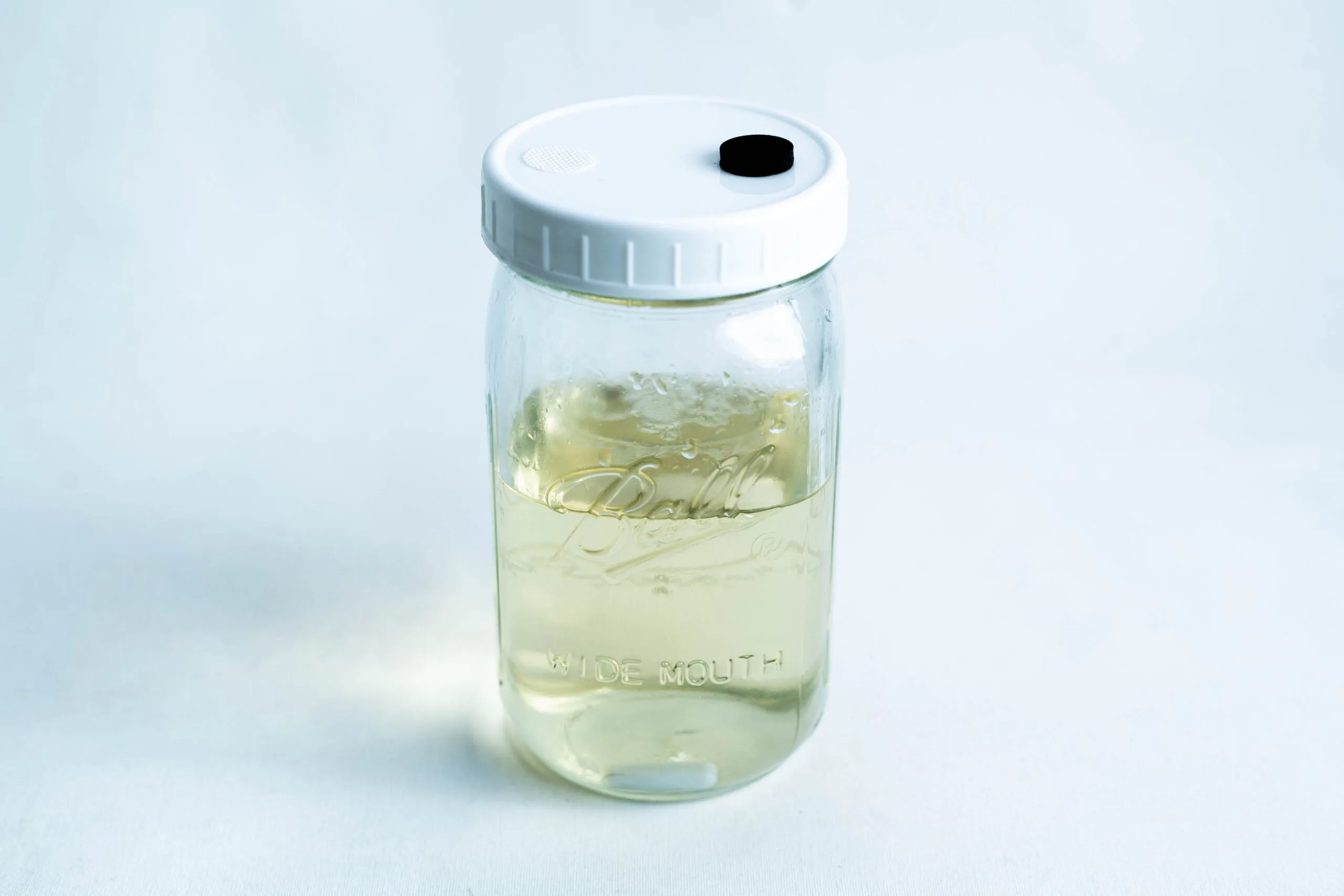 Uncolonised Liquid Culture Jar with nutrient and magnetic stirrer, white lid with small black hole, containing pale liquid on a white background. Collection only. Ideal for preparing cultures in sterile conditions.