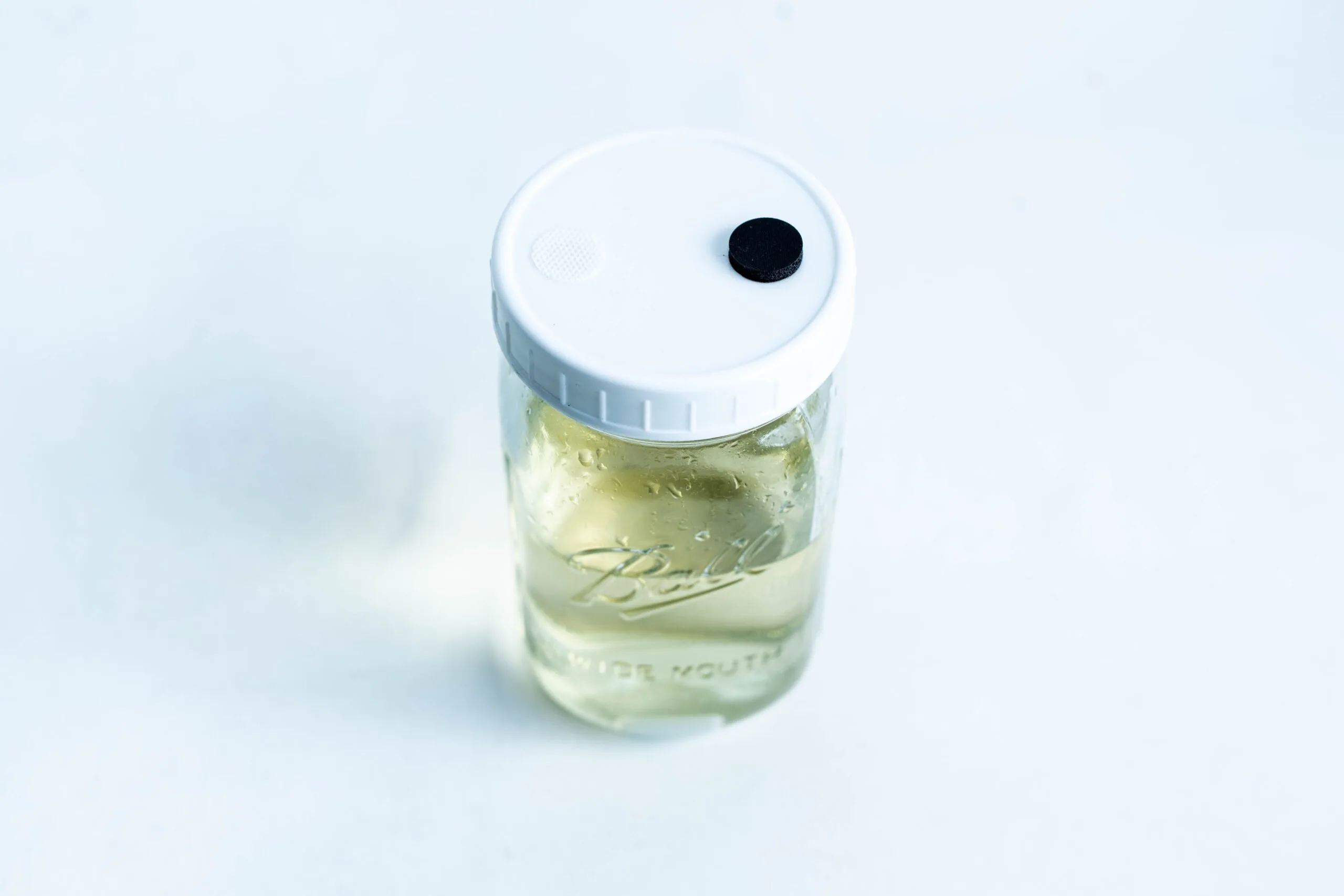 Uncolonised Liquid Culture Jar with nutrient and magnetic stirrer—features clear liquid inside a Kilner jar with white lid and black circle on top. Ideal for culturing; collection only.