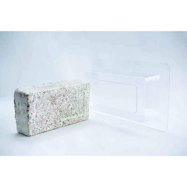 Brick block outside Mold Sawdust