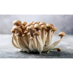 A cluster of brown shimeji mushrooms on a grey surface with a blurred background.