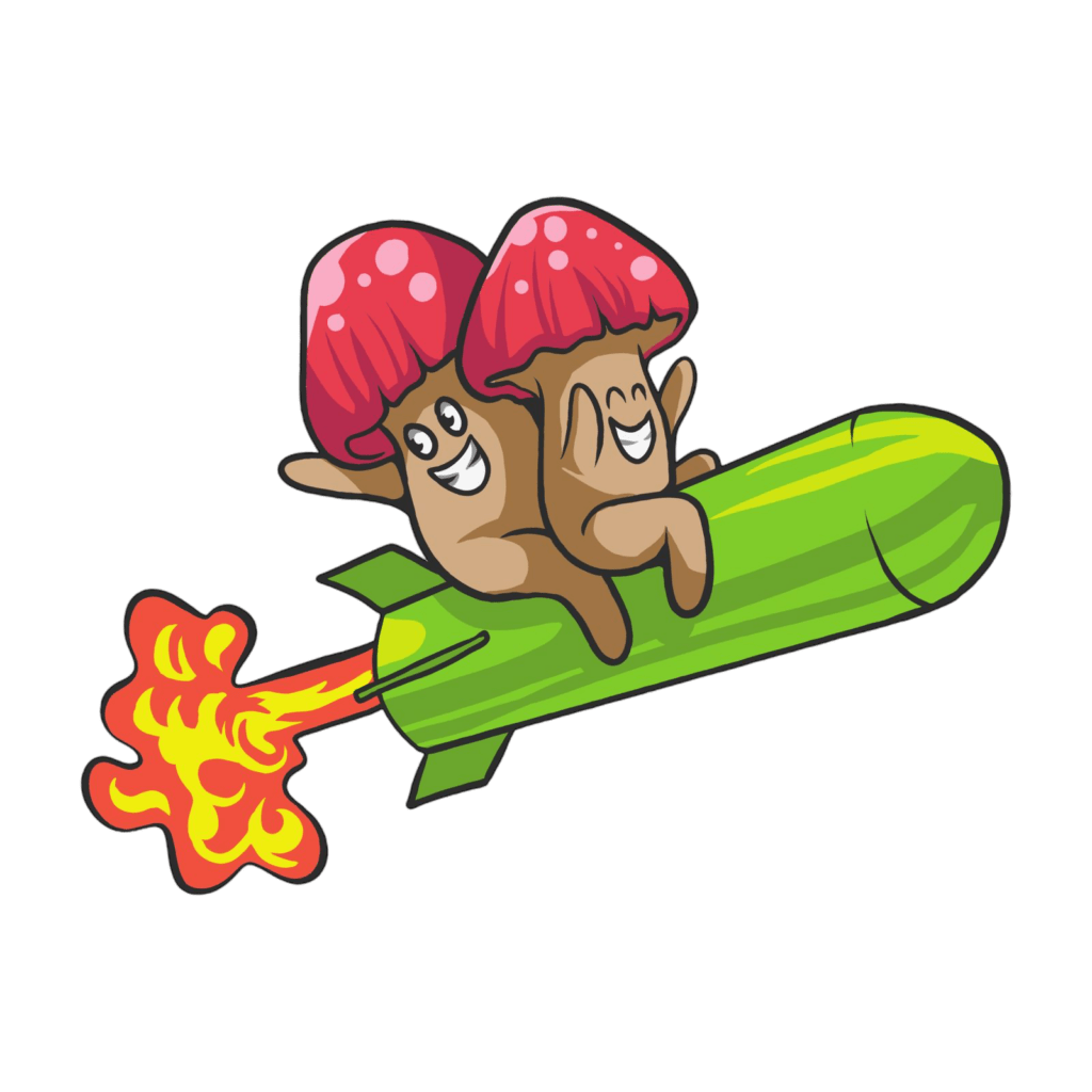 Mushroom on rocket