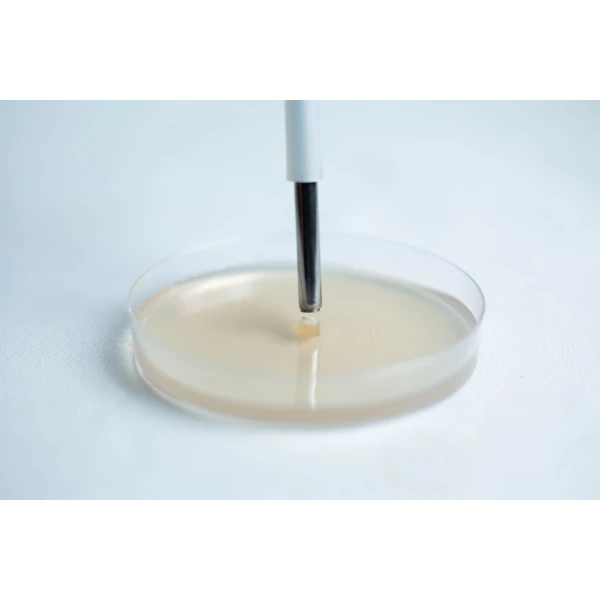 Transfer Agar with agar punching tool front view