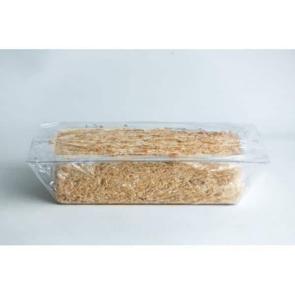 hemp hurd brick growth in mold